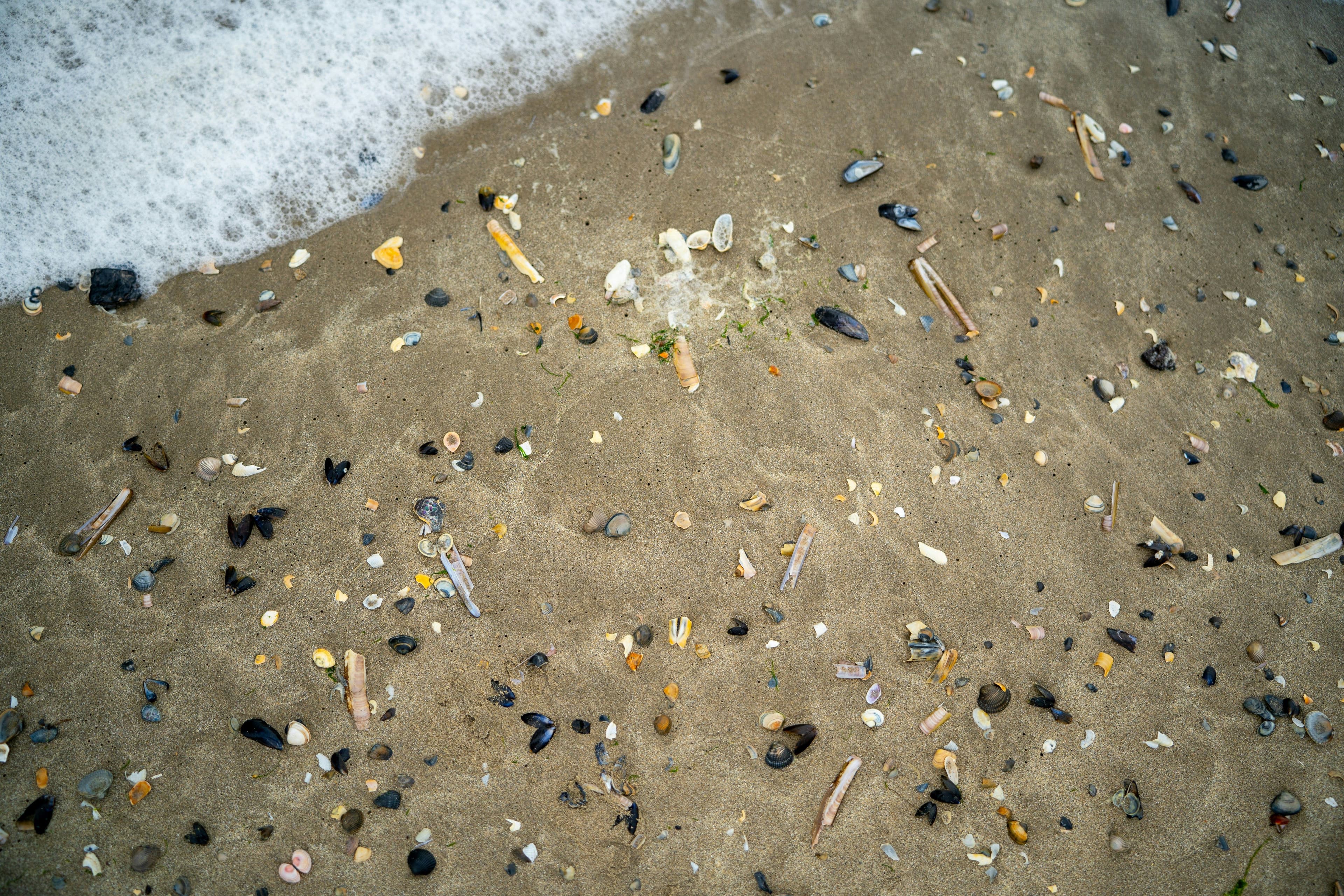 Plastics littering the sand on a beach