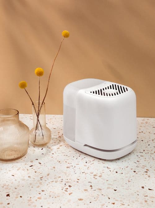 Canopy's Bedside Humidifier 2.0